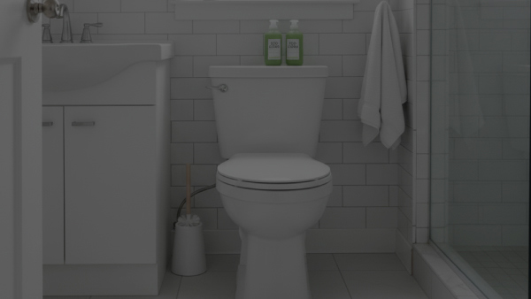How-to-clean-a-stained-toilet-no-text