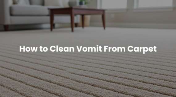 How to Clean Vomit From Carpet