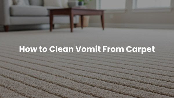 How to Clean Vomit From Carpet