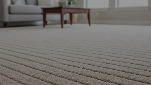 How to Clean Vomit From Carpet