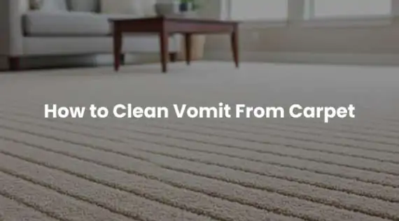 How to Clean Vomit From Carpet — The Real Method We Use Every Day