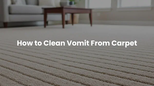 How to Clean Vomit From Carpet — The Real Method We Use Every Day