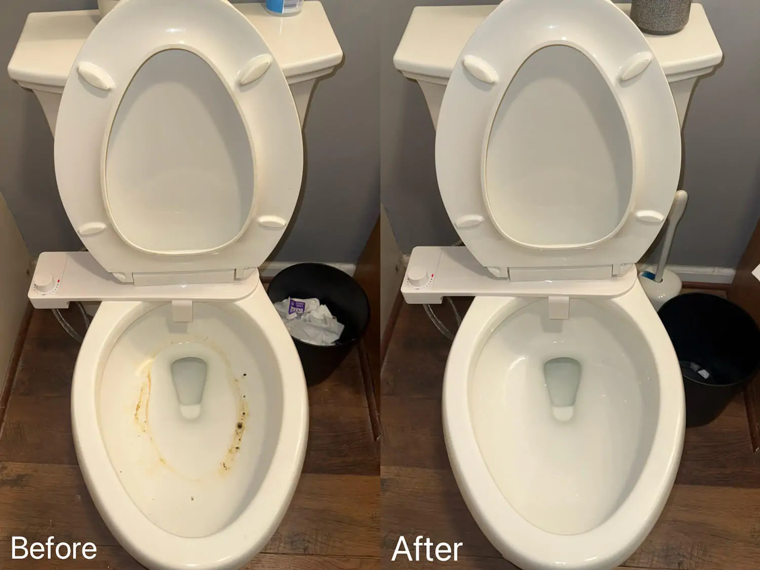 bathroom toilet rim cleaning before after auburn hills mi
