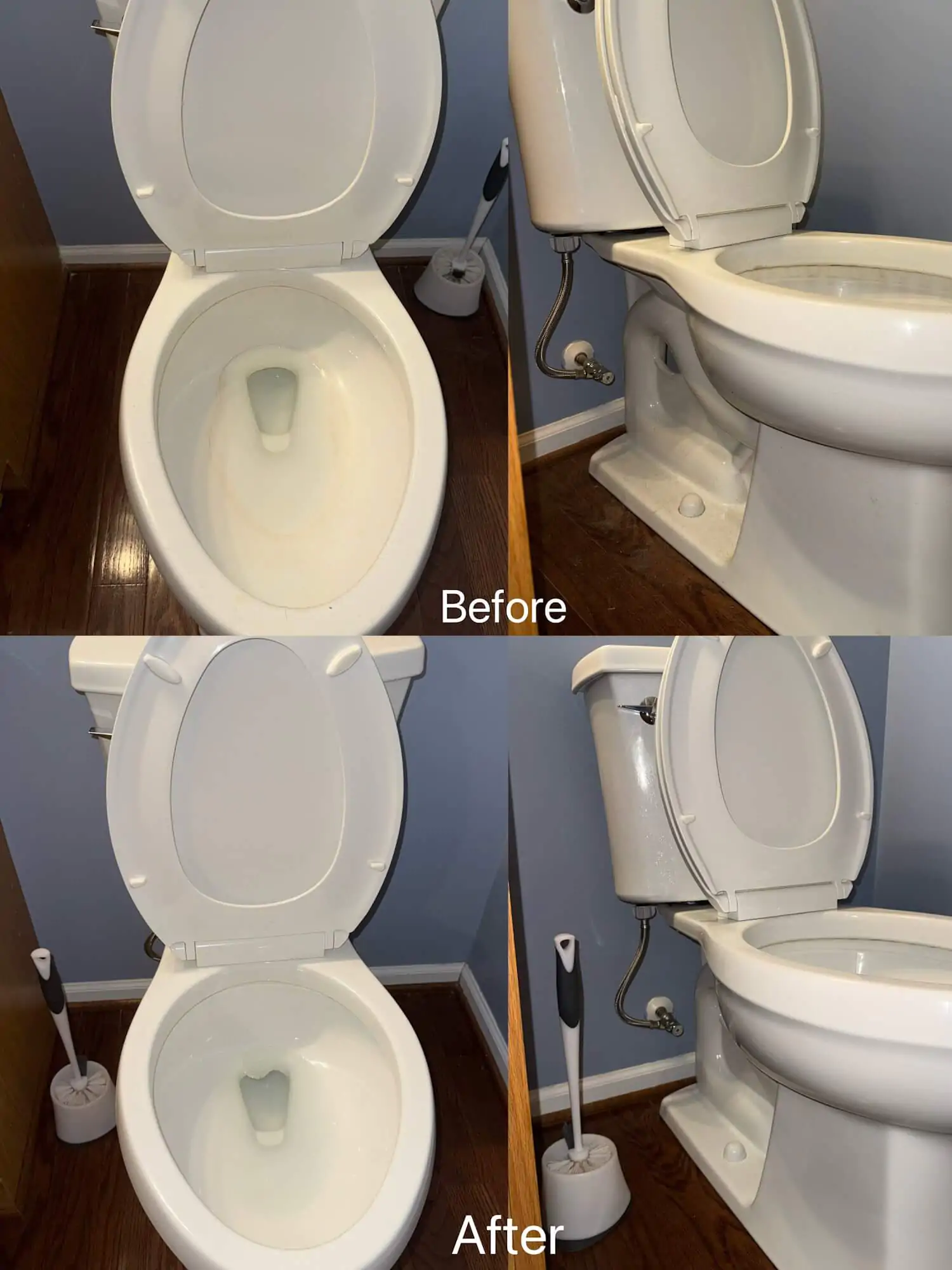 bathroom toilet sanitizing service