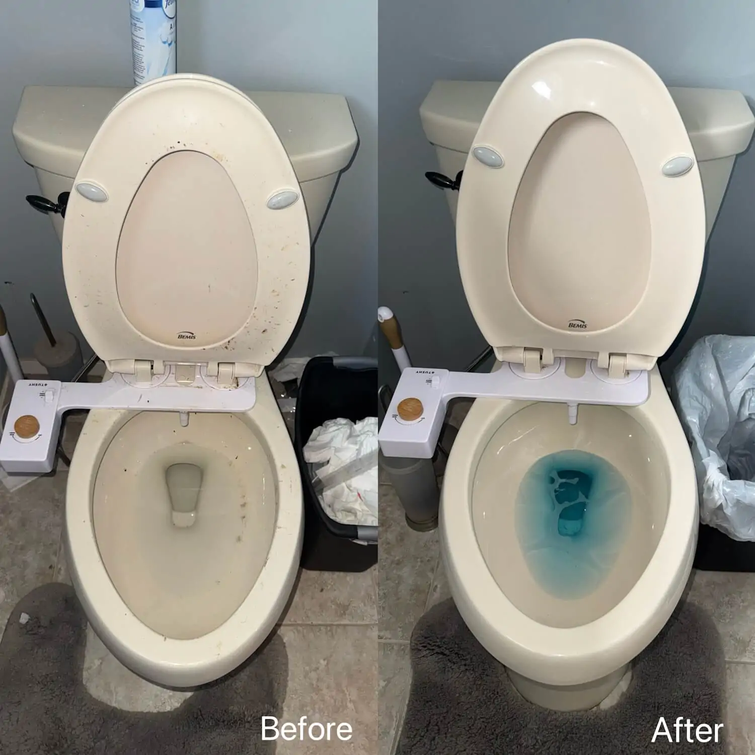 clean toilet with bidet detail cleaning west bloomfield mi