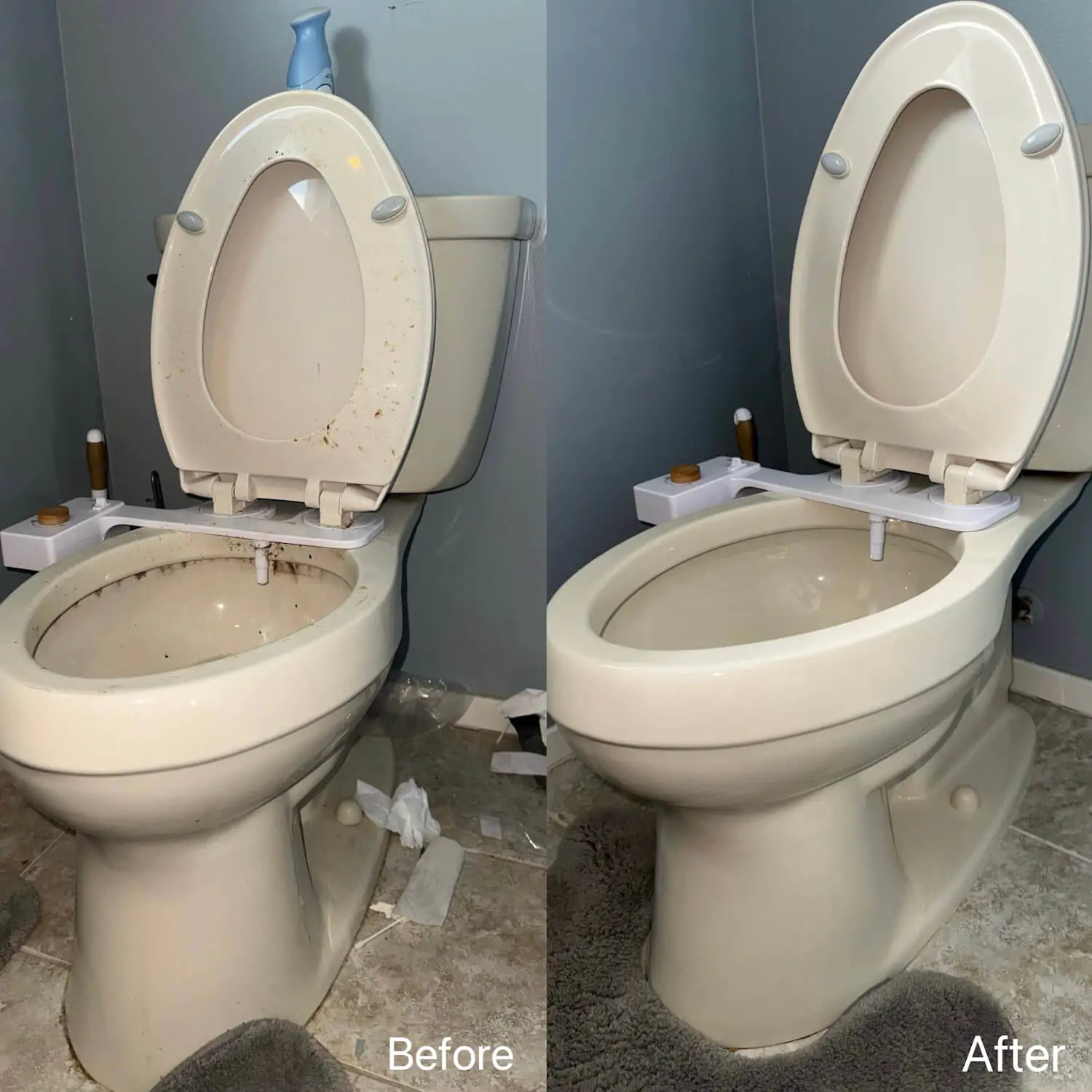 dirty toilet deep cleaning before after auburn hills mi