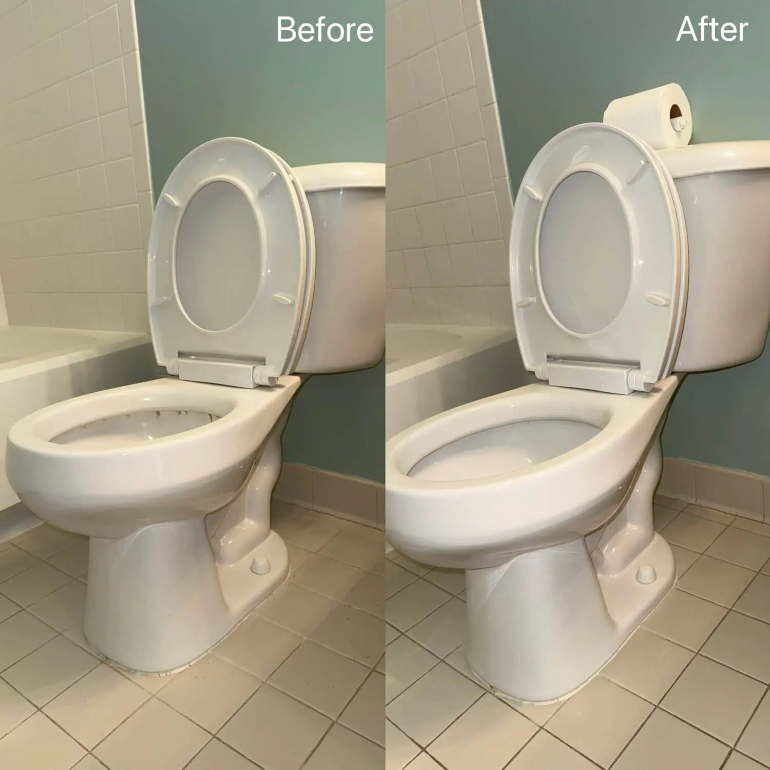 residential bathroom toilet deep cleaning results waterford mi