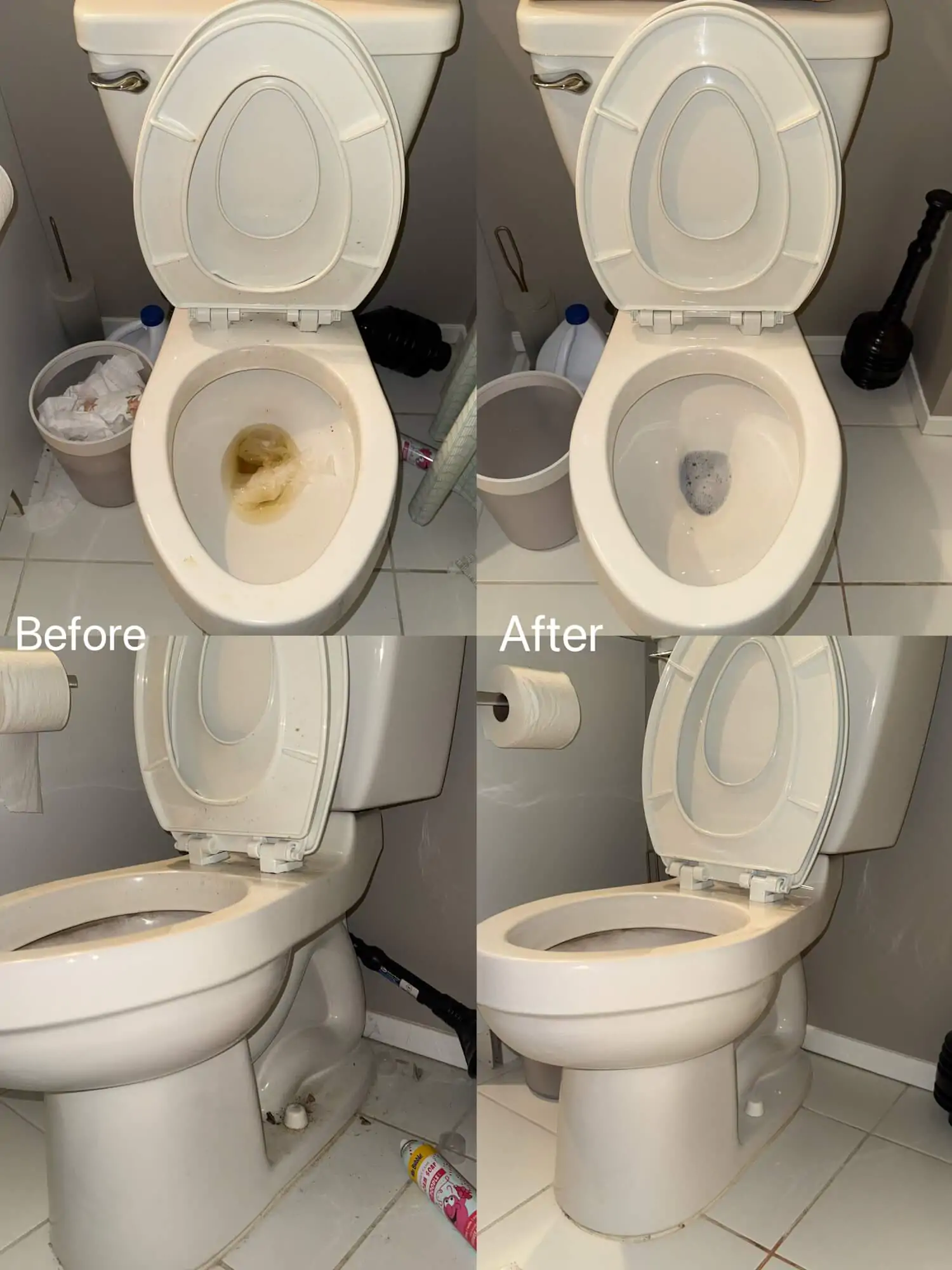 stained toilet seat and bowl cleaning west bloomfield mi
