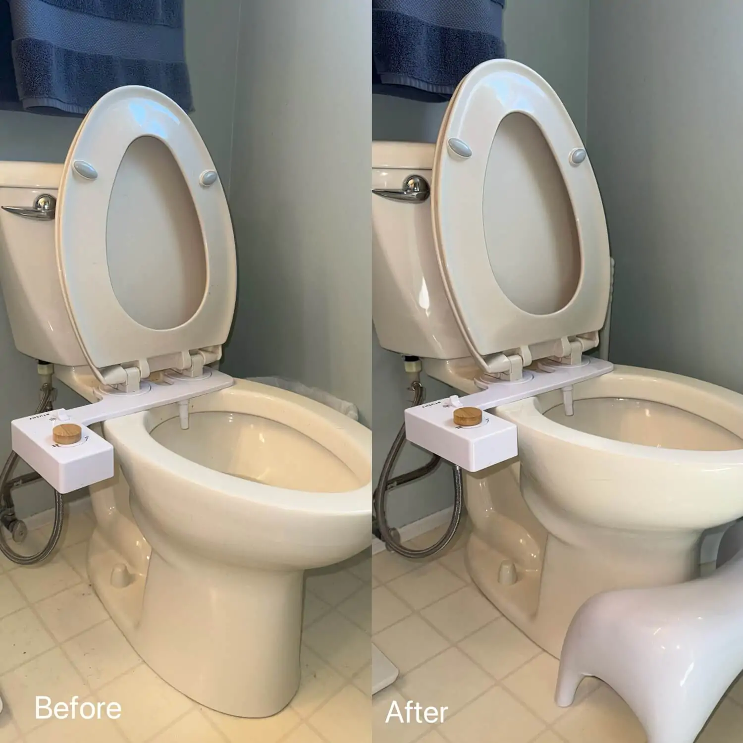 toilet seat and bowl cleaning service lake orion mi