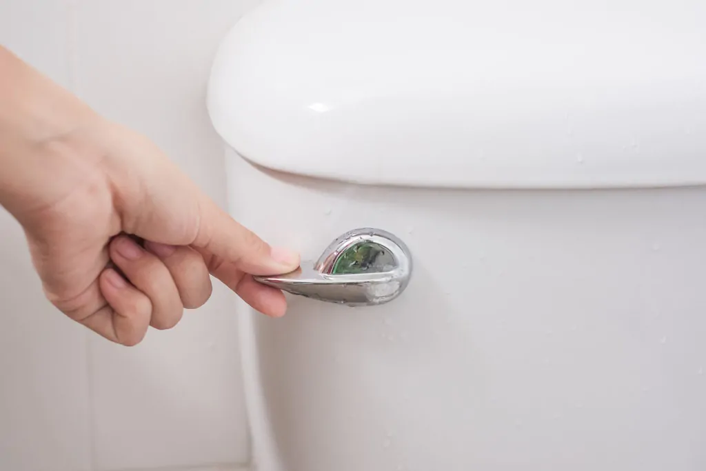 disinfecting toilet flush handle — highest touch surface in bathroom